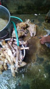 Bumbu tengkleng kambing tanpa prengus 234